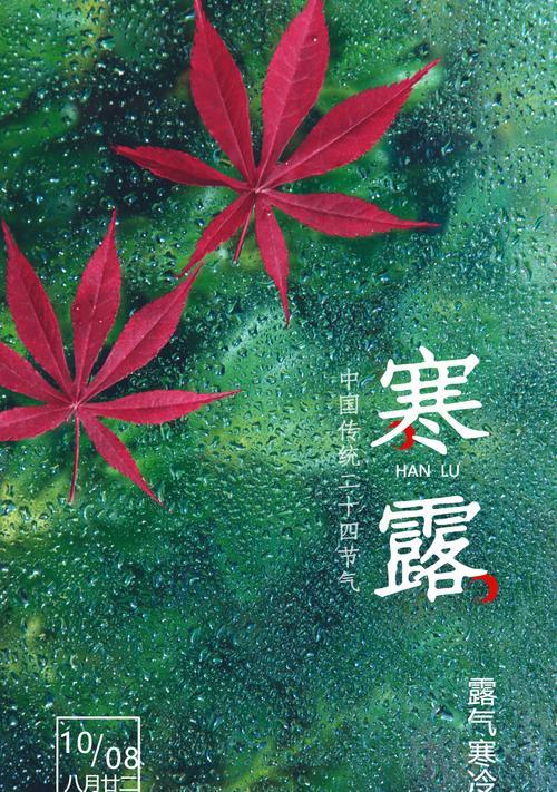 寒露之韵，探寻魅力图片，领略2024年寒露之美