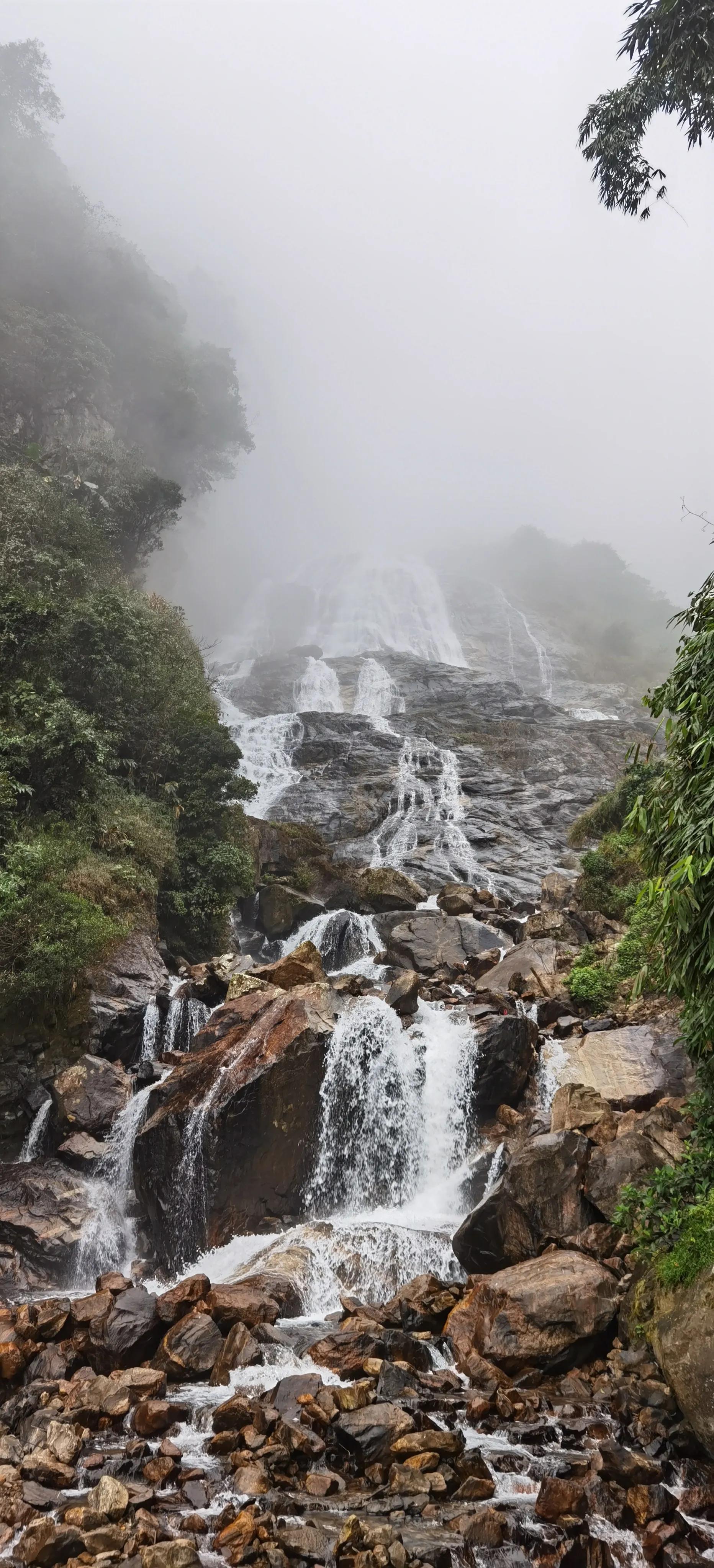 绿色长城，生态守护的力量