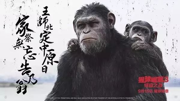 猩球崛起2凯撒命运揭秘，主人何去何从？